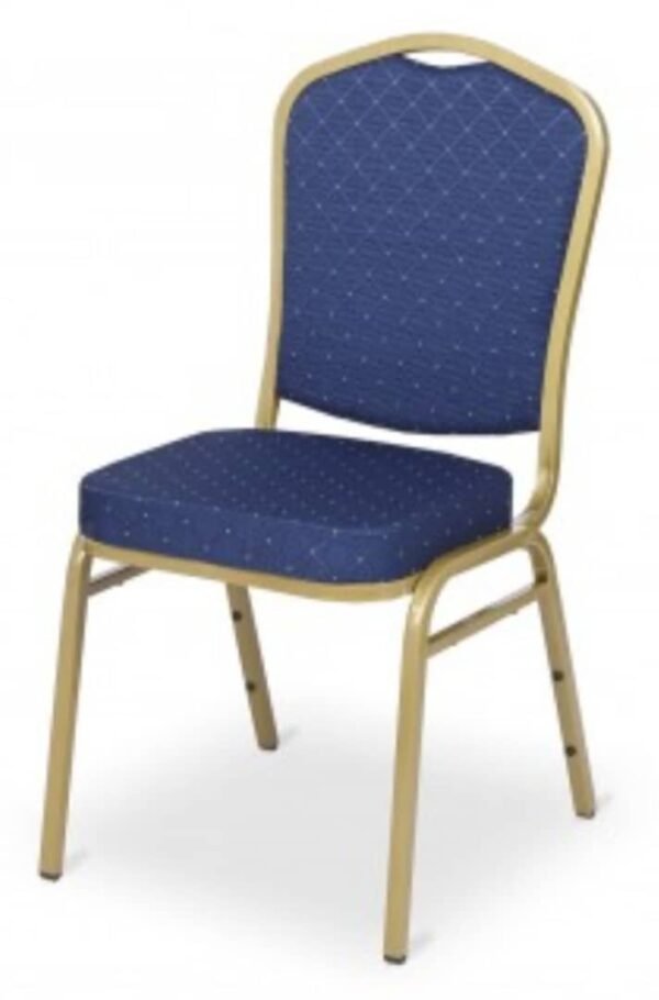 WhatsApp Image 2025-11-01 at 23.16.42 (1) Elegant chair